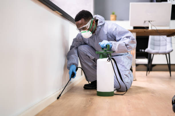 Best Residential Pest Control  in Coushatta, LA